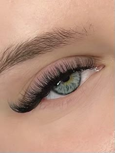 3d Lash Extensions Cat Eye, Natural Volume Lash Extensions Cat Eye, Short Volume Cat Eye Lash Extensions, Russian Volume Lashes Cat Eye, Lash Extension Types, Cat Lash Extensions, Lashes Extensions Cat Eye, Cat Eyes Lashes, Types Of Lash Extension Styles