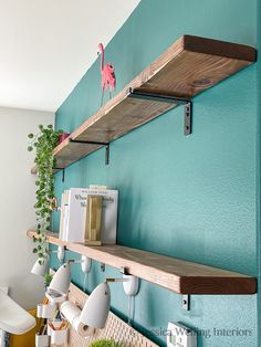 the shelves are decorated with plants and books