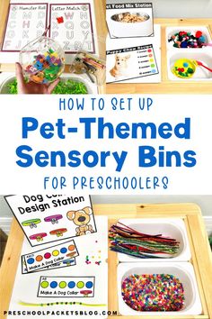 how to set up pet - themed sensory bins for preschoolers