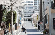 two people walking down an alley with cherry blossoms on the trees in front of them