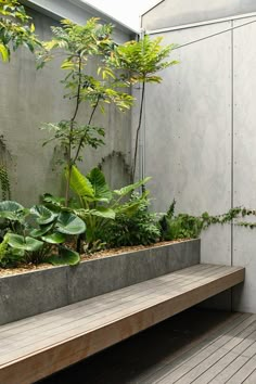 a wooden bench sitting on top of a hard wood floor next to a planter