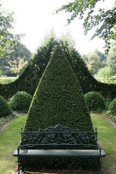 a bench sitting in the middle of a lush green park