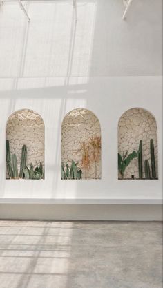 an empty room with three windows and cactus plants