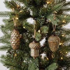 three ornaments are hanging from the top of a christmas tree with pine cones and lights