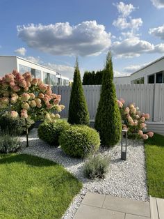 some bushes and trees in a small yard