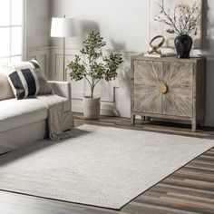 a living room scene with focus on the rug