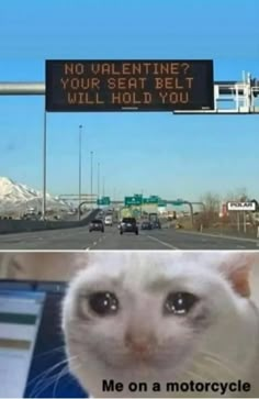 a white cat sitting on top of a laptop computer next to a sign that says, no valentine? your set be will hold you me on a motorcycle