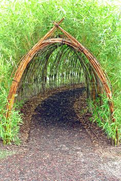 an arch made out of bamboo sticks in the middle of a path surrounded by tall grass