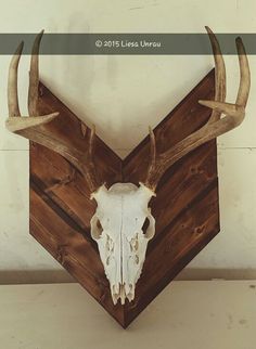 an animal's skull mounted on the side of a wooden wall with two horns