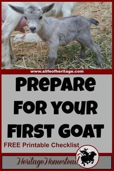 a sign with an image of two baby goats and the words prepare for your first goat