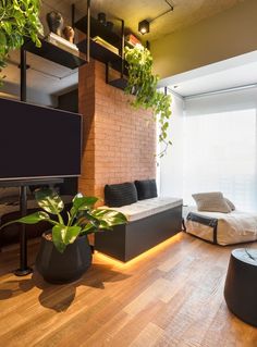 a living room filled with furniture and plants