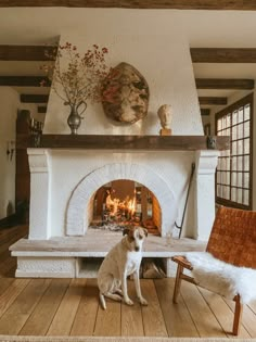 a dog is sitting in front of a fireplace