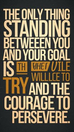 the only thing standing between you and your goal is he / she / ollie to try and the courage to persevere