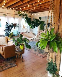 a living room filled with furniture and lots of plants on the wall next to a hammock