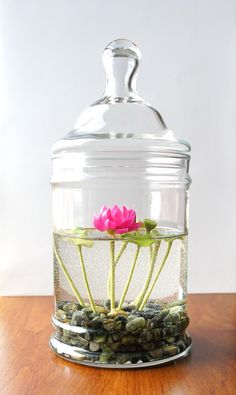 a glass jar filled with water and flowers on top of a wooden table next to rocks