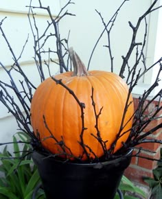 an orange pumpkin sitting on top of a black pot filled with branches and twig