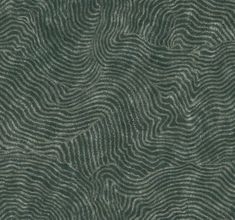 an abstract pattern with wavy lines in grey and green colors, as well as the background