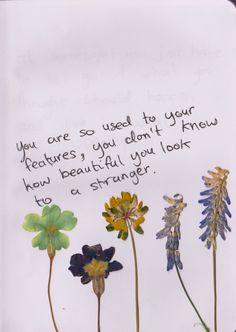 an image of flowers with the words you are so used to your creatures you don't know how beautiful you look