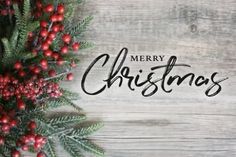 merry christmas card with holly and berries on wooden background