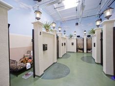 an indoor dog kennel with lights on the ceiling and doors open to let in some fresh air