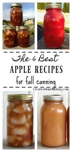 the 6 best apple recipes for fall canning