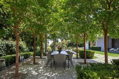 an outdoor dining table surrounded by trees and bushes