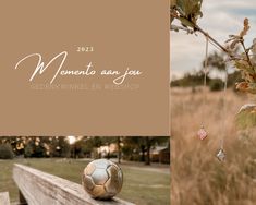 a soccer ball sitting on top of a wooden bench