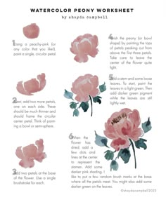 watercolor peony worksheet with instructions for how to paint peony flowers