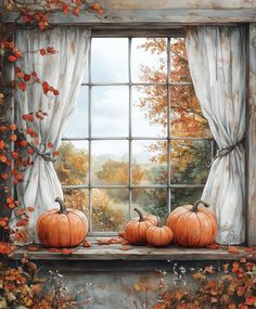 two pumpkins sitting on a window sill in front of a curtained window