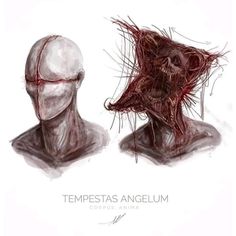 an artistic drawing of two heads with hair on them and the words tempesttass angelum written below