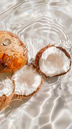 two coconuts are sitting in the water