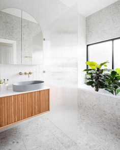 a bathroom with a plant in the corner and a mirror on the wall above it