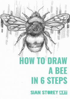 a drawing of a bee with the title how to draw a bee in 6 steps