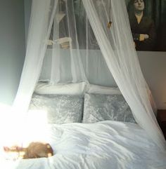 a cat laying on top of a white bed covered in mosquito netting next to a painting