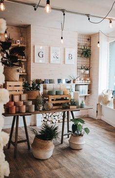 a room filled with lots of different types of plants and pots on top of wooden tables