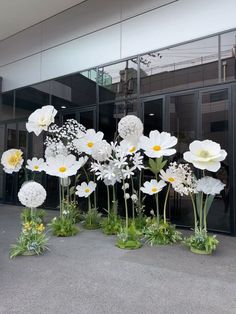 some white flowers are in front of a glass building with black doors and green grass