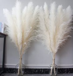 PRICES MAY VARY. Pampas Grass Decor Tall: Dried flower bouquet has 10 pcs large pampas grass, pampas grass decor tall has been carefully screened， The length of every pampas grass is 46 inches, the color of the tall pampas grass is beige, dried pampas grass is naturally fluffy, beautiful and elegant Boho Decor: Tall pampas have a boho style and are suitable for boho flowers, event decors, boho wall decor , boho wedding decor, boho party decorations, boho bathroom decor，boho table decor, and boho Floor Vases Decor, Dried Flowers For Wedding, Boho Party Decorations, Grass Wreath, Floor Vases, Boho Bathroom Decor, Natural Dried Flowers, Flowers For Wedding, Grass Decor