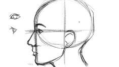 a drawing of a person's head with different angles and lines on the face