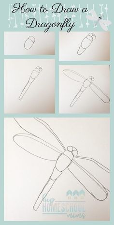 how to draw a dragonfly