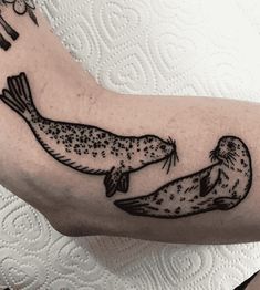 a couple of seals sitting on top of a person's arm next to each other