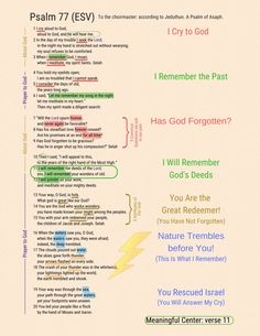 an image of the bible's names in different colors and font on a beige background