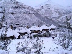 snow covered houses in the mountains with trees and bushes on each side, surrounded by shrubbery