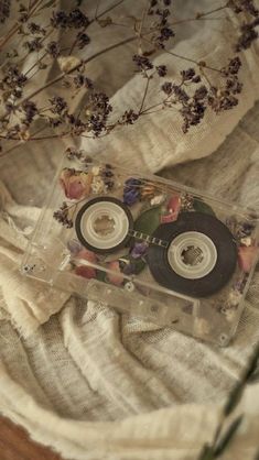 two cd's sitting on top of a table next to some dried leaves and flowers