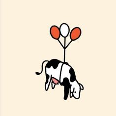 a black and white cow with red balloons on it's back