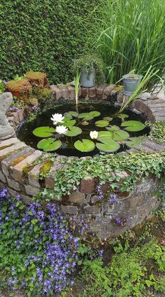 a small pond with water lilies in it