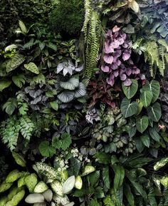 an assortment of plants and flowers are arranged in the same pattern, including ferns, broccoli, and other greenery