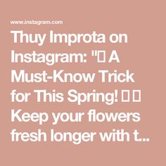 the text reads, they impota on instagramm'da must know trick for this