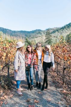 three women standing in the middle of a vineyard