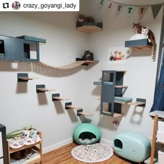 a room with cat toys and shelves on the wall