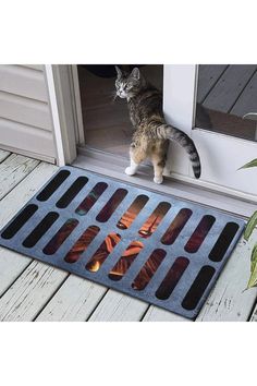 a cat that is standing on the door mat